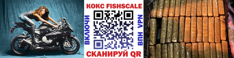 сколько стоит  Байкальск  COCAIN Fish Scale 