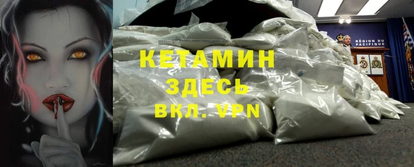 прущие грибы Болохово