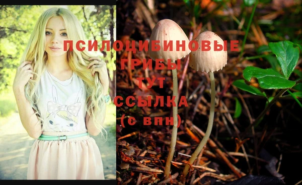 герыч Няндома