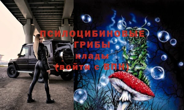 герыч Няндома
