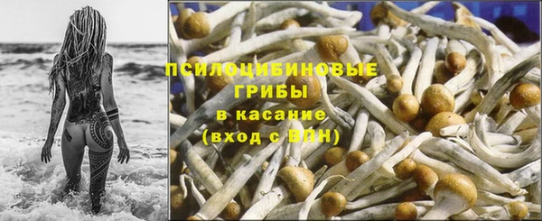 соль курить ск Фёдоровский