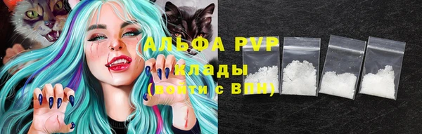 шишки Беслан