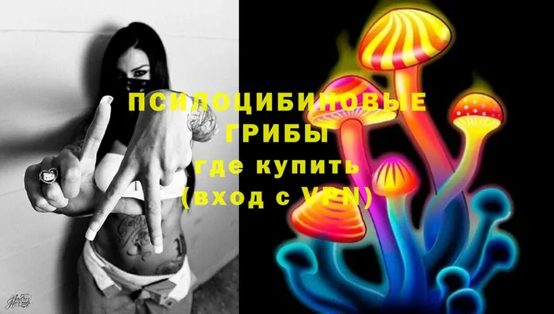 где продают   Байкальск  Галлюциногенные грибы Magic Shrooms 